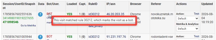 Explanation why the visit was detected as a bot