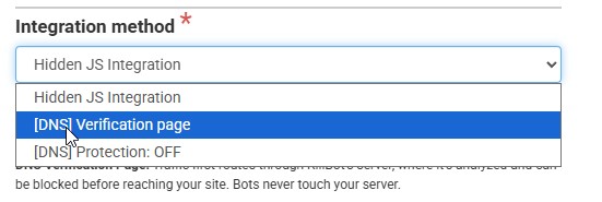 DNS integration option