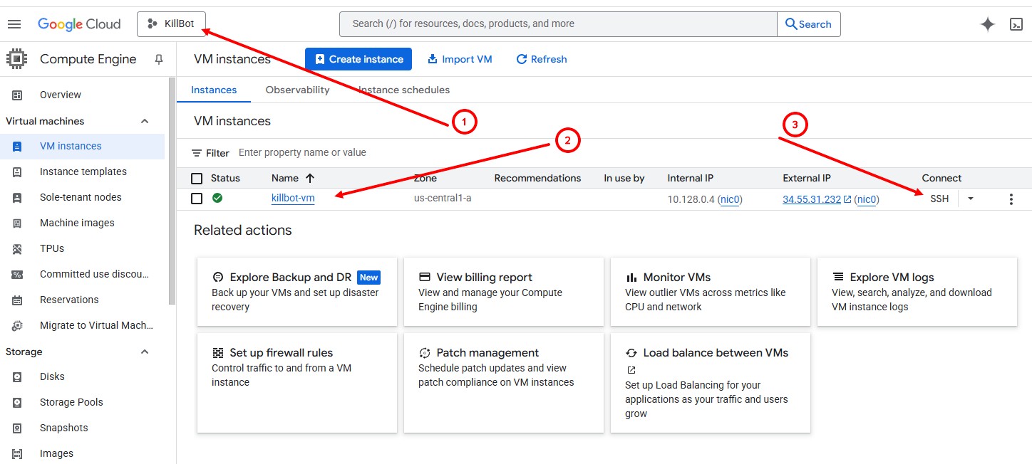 Виртуальная машина на GooGle Cloud с развернутым KillBot