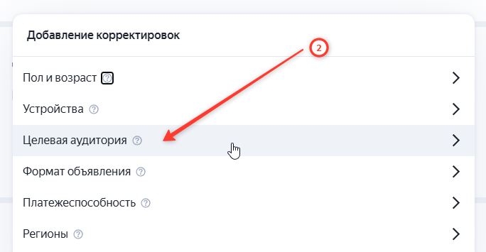 Выбираем 'Целевая аудитория'